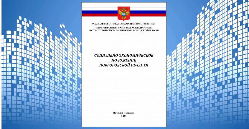 Социально-экономическое положение Новгородской области в январе - ноябре 2020 года