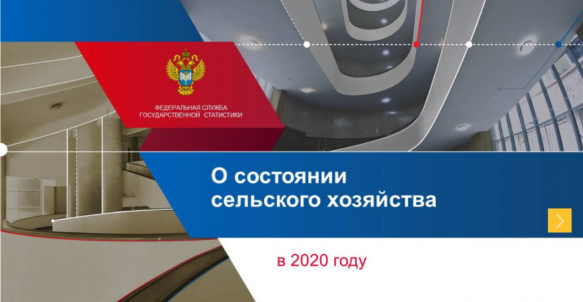 О состоянии сельского хозяйства в 2020 году